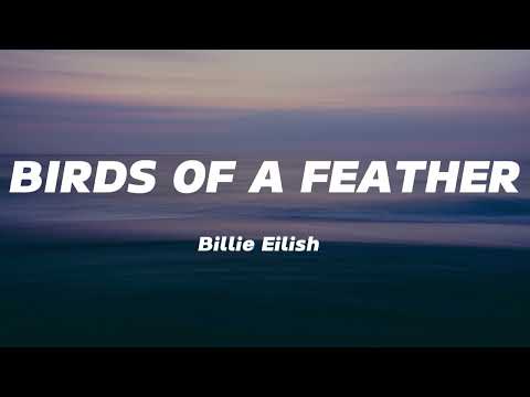 Billie Eilish - BIRDS OF A FEATHER (Lyrics)