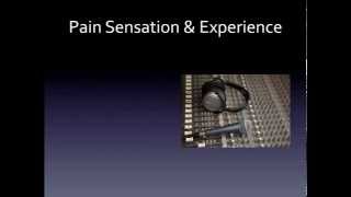Understanding Pain