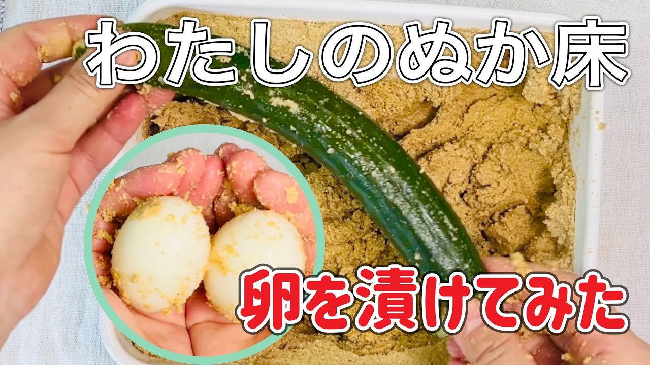 わたしのぬか床♡ゆで卵を漬けてみた！