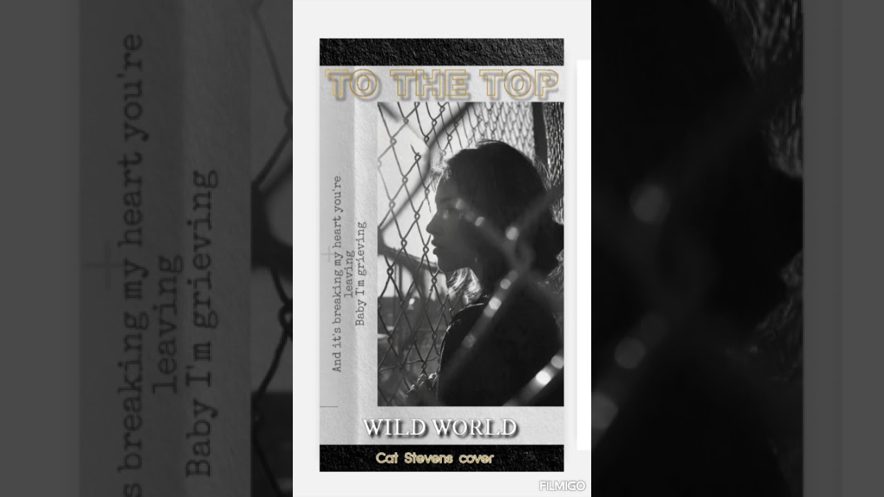 TO THE TOP - WILD WORLD live Cat Stevens cover in Style of Mr.Big 