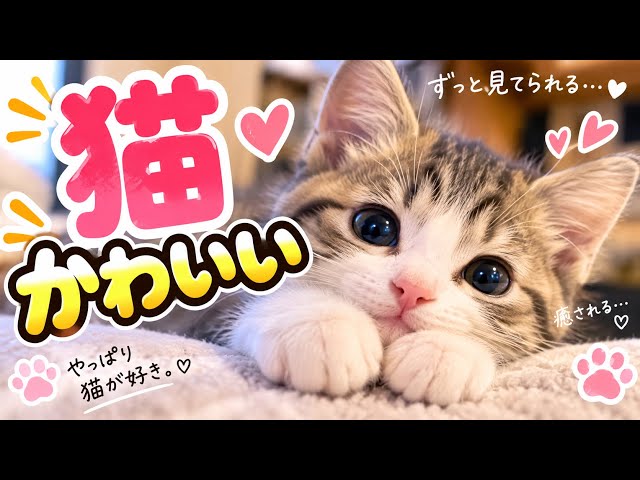 tssg 編集の限界 世田谷事変 - YouTube
