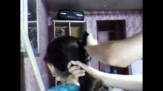 Capture 20121211 6