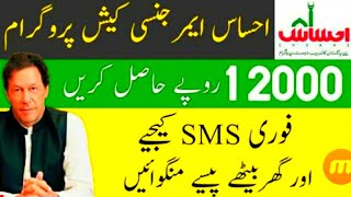Ehsaas Emergency Program | Apply Through SMS | 12000 Cash screenshot 2
