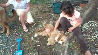 Maisy Knows There The Tummy Tickles Are At