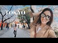 TOKYO VLOG 當地人帶你玩東京! 🌸賞櫻景點, 餐廳推薦, 購物分享, 遇到變態 🙈!