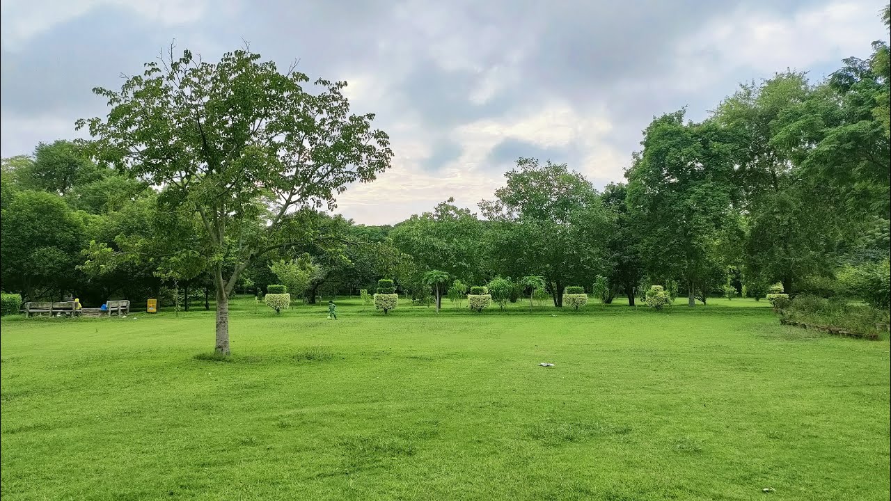 Beautiful View of Jam e Shirin Park Lahore in Rainy Weather Birds