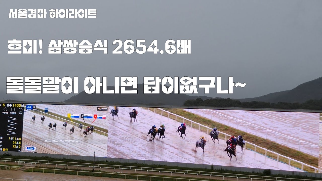 물탕주로 갑자기 터지니 정신없구만!(서울경마 하이라이트) 돌돌말이배팅 