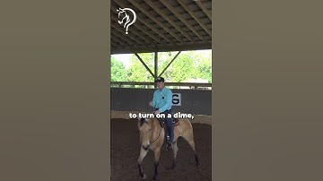 Intro To Riding Bridleless! Part 21! | The Horse Guru-Michael Gascon