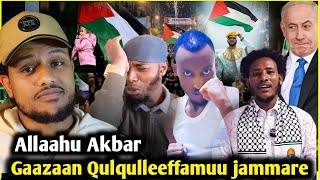 🛑Allahu Akbar Gaza Cleansing Started/Friday Prayers in Gaza/Sheka robe and Mu/Bayan/Zad ORO