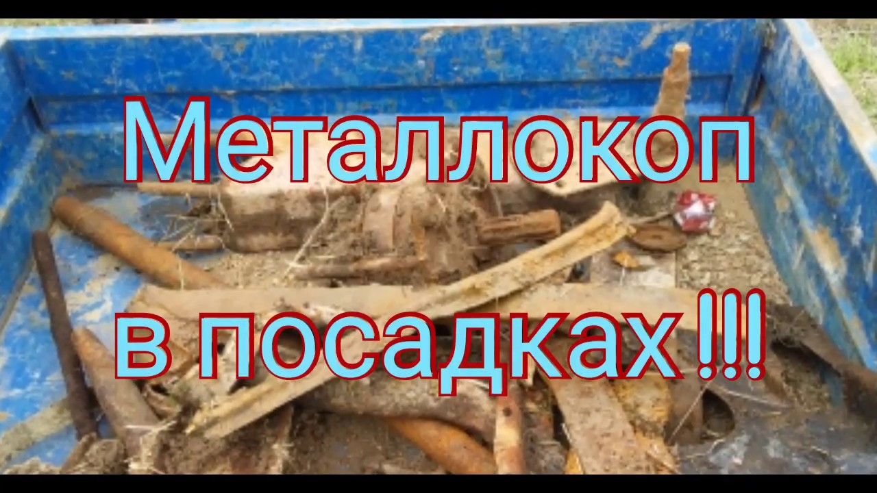 Металлокоп на ниве