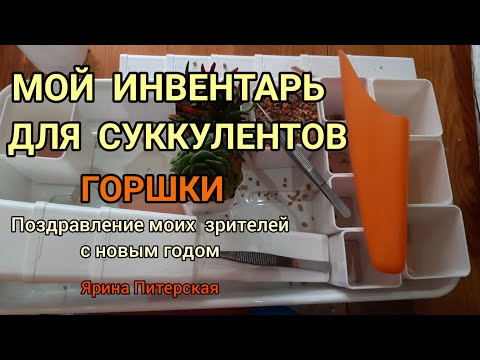 Мой инвентарь для