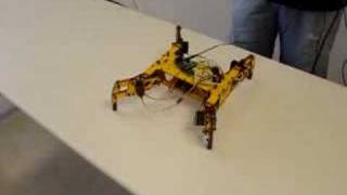 Quadruped Robot CSM Trot