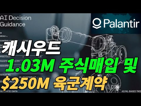 팔란티어 PLTR 캐시우드 대량주식 매입 및 250M 계약 