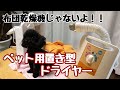 ペット用置き型ドライヤー使ってみました。トイプードルのらむちゃんもウトウト...音が静かだからかな...【トイプードル】