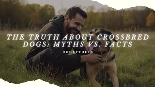 Mixed Breeds Uncovered: Debunking Myths About Crossbred Dogs!