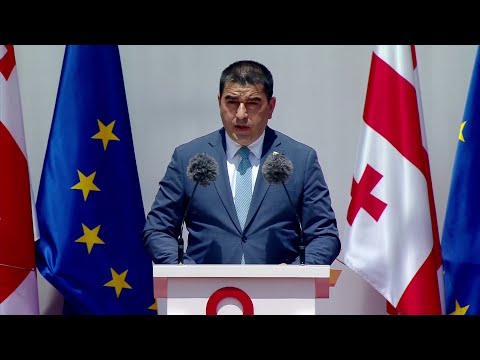 გვჯერა, რომ ევროკავშირი ქართველი ხალხის  ძალისხმევას დაინახავს - შალვა პაპუაშვილი