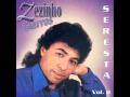 ZEZINHO BARROS CATIVO DA SOLIDÃO DJ RONALDO FARUK.
