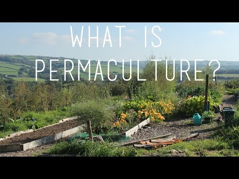 Permaculture, Self Sufficiency & Vegan Fertilisers