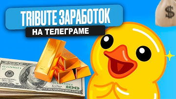 ЗАРАБОТОК в Telegram на Tribute — Монетизация Telegram