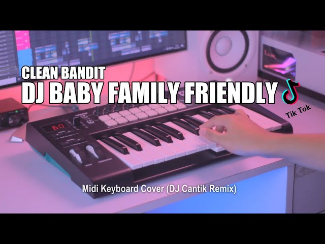 DJ Baby Family Friendly Slow Tik Tok Remix Terbaru 2021 (DJ Cantik Remix) class=
