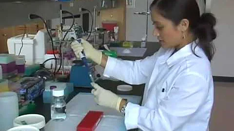 Samuel Stupp - Nano U