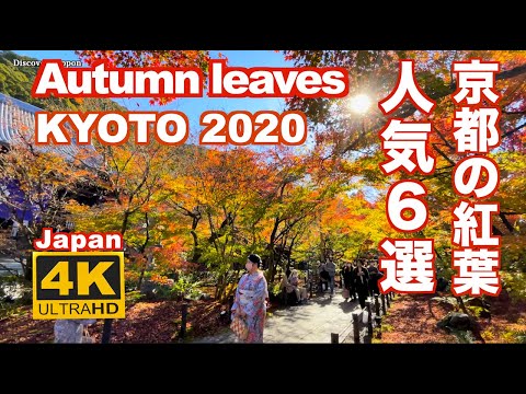 4K 京都の紅葉2020 清水寺 永観堂 東福寺 瑠璃光院 Autumn leaves in Kyoto 比叡山 宝厳院 観光 旅行 秋 ライトアップ 名所 見頃 人気スポット