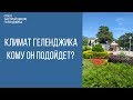 Погода в Геленджике. Кому подходит климат Геленджика? | Переезд в Геленджик