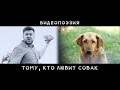 Тому, кто любит собак |Видеопоэзия |Социальный ролик