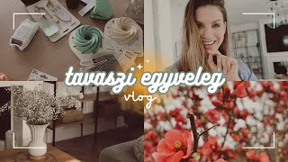 🌸Tavaszi egyveleg + HAUL // PEPCO, JYSK & KIK újdonságok │ Karin Dragos