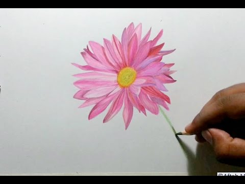 Drawing A Pink Sunflower Using Colored Pencils Youtube