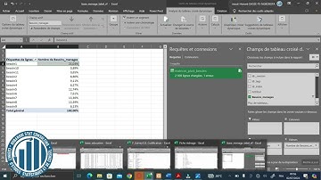 Analyse des données des variables à choix multiples avec Microsoft Excel