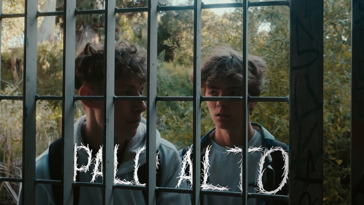 Palo Alto (Tall Tree) | Short Film 2025