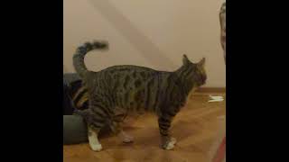 Gece Mesaisi Bütün Günü Uyu Geçiren Efendiler, Gece Boğuşmasında