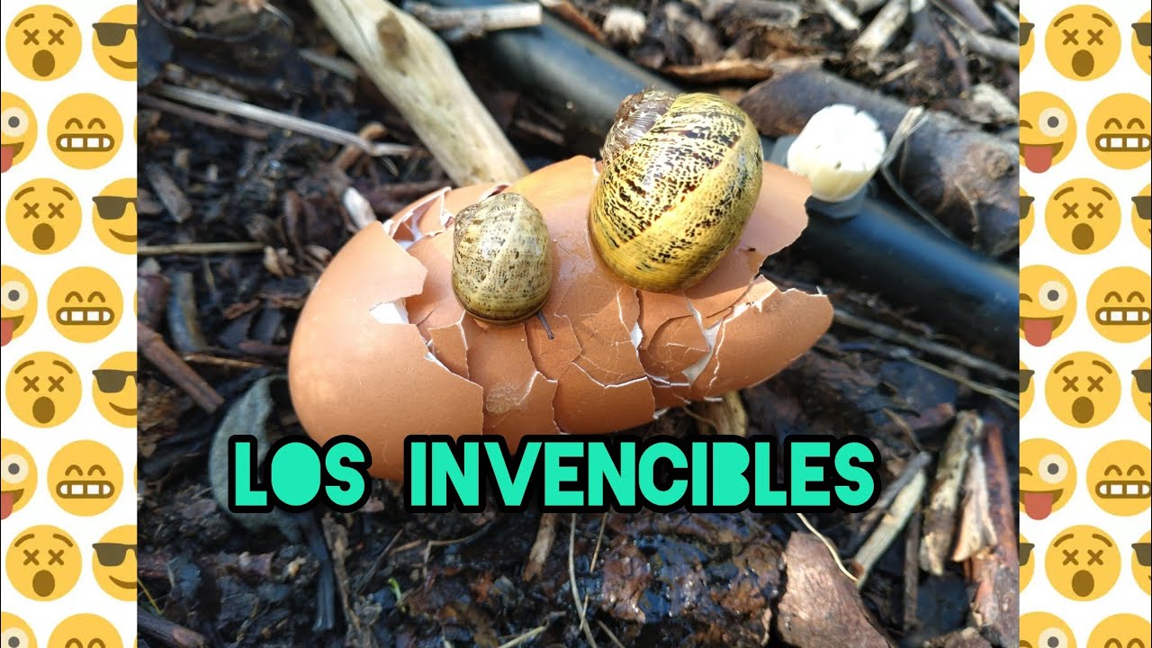 No te creas todo lo que te dicen.