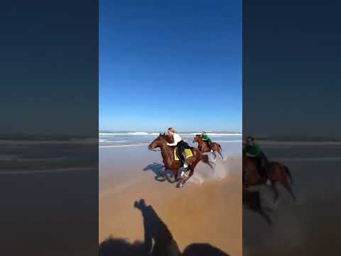 Horse riding on