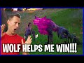 TAMING A WOLF TO WIN A VICTORY ROYALE