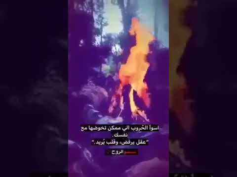مسيقه عصفور حزين