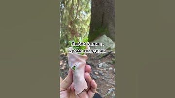 Любой кипиш кроме голодовки