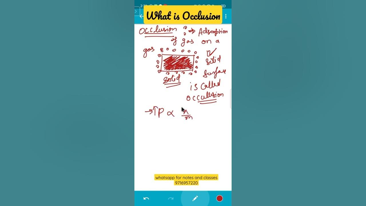 What is occlusion? surface chemistry class 12 chemistry YouTube
