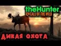 Дикая охота в Тайге - TheHunter Call of The Wild