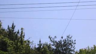 CIMG0890.AVI