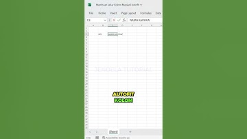 AUTOFIT KOLOM DI EXCEL‼️ #belajarexcel #exceltips #excelhacks #exceltutorial #excel #microsoft