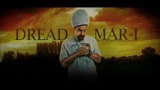 Arbol sin hojas - Dread Marai