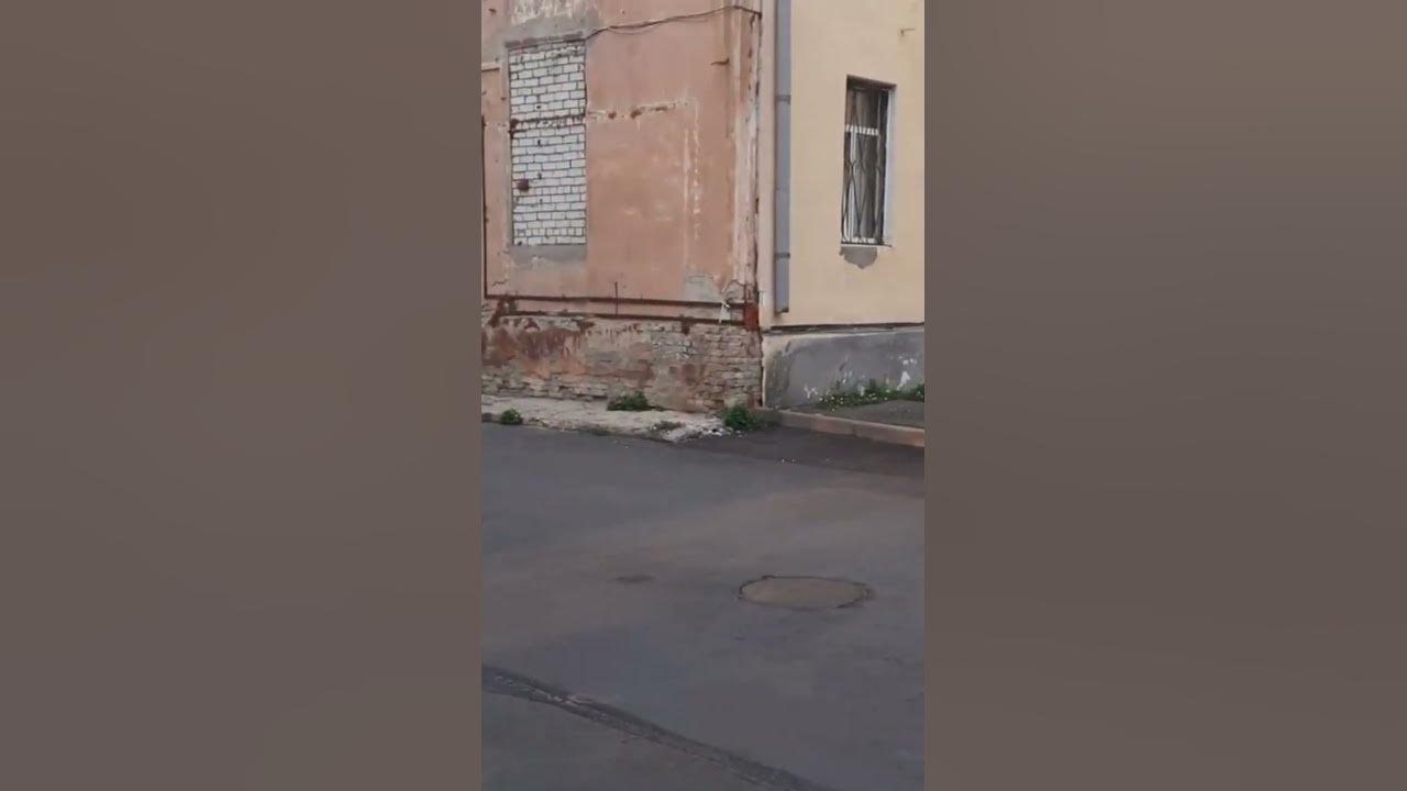 Крысиная стометровка - YouTube
