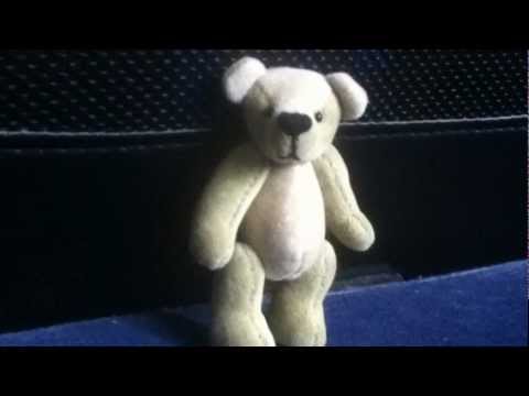 So entsteht ein Teddy