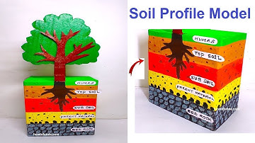 3d model of soil Profile | project |  Vanshika