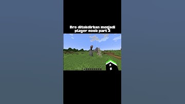 Minecraft Meme
