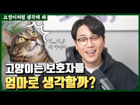 <strong>하인</strong>?