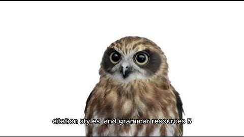 Top 5 Websites Every Student Should Know | LearnEduHub