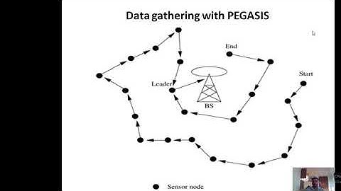 MC Unit 5 Data Gathering